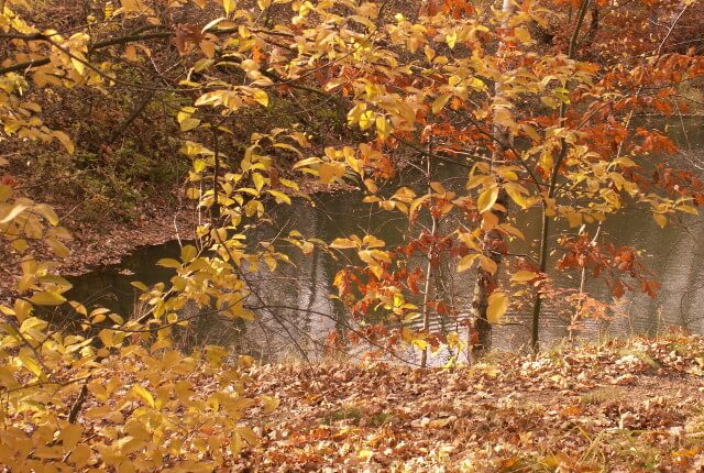 DON’T LET MENOPAUSE RUIN YOUR SEX LIFE