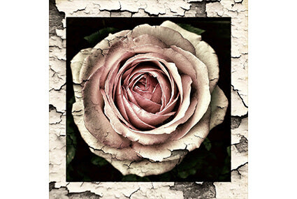 HOW TO GET YOUR EX BACK