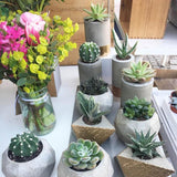 Silicone Flower Pot Mold