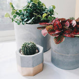 Silicone Flower Pot Mold