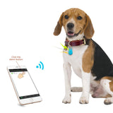 Pet Smart GPS Tracker