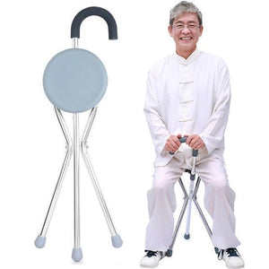 2 in 1 Walking Cane Chair